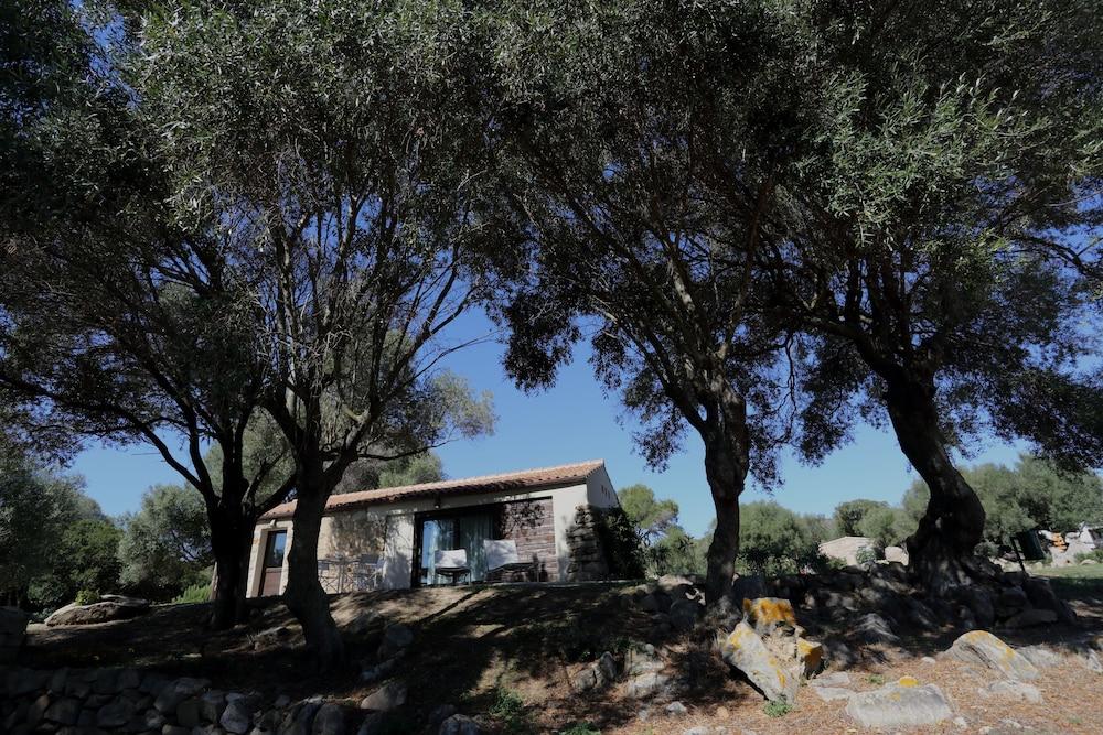 Liscia Country Relais Guest House Sant'Antonio di Gallura Eksteriør bilde