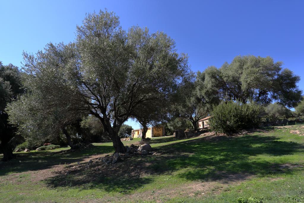 Liscia Country Relais Guest House Sant'Antonio di Gallura Eksteriør bilde