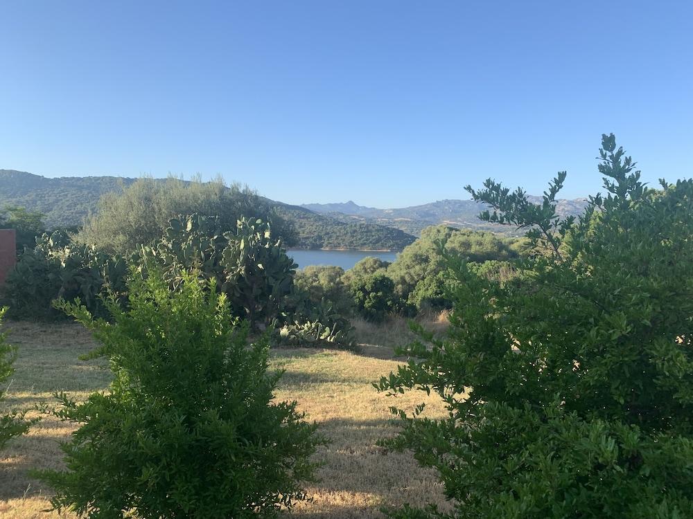 Liscia Country Relais Guest House Sant'Antonio di Gallura Eksteriør bilde