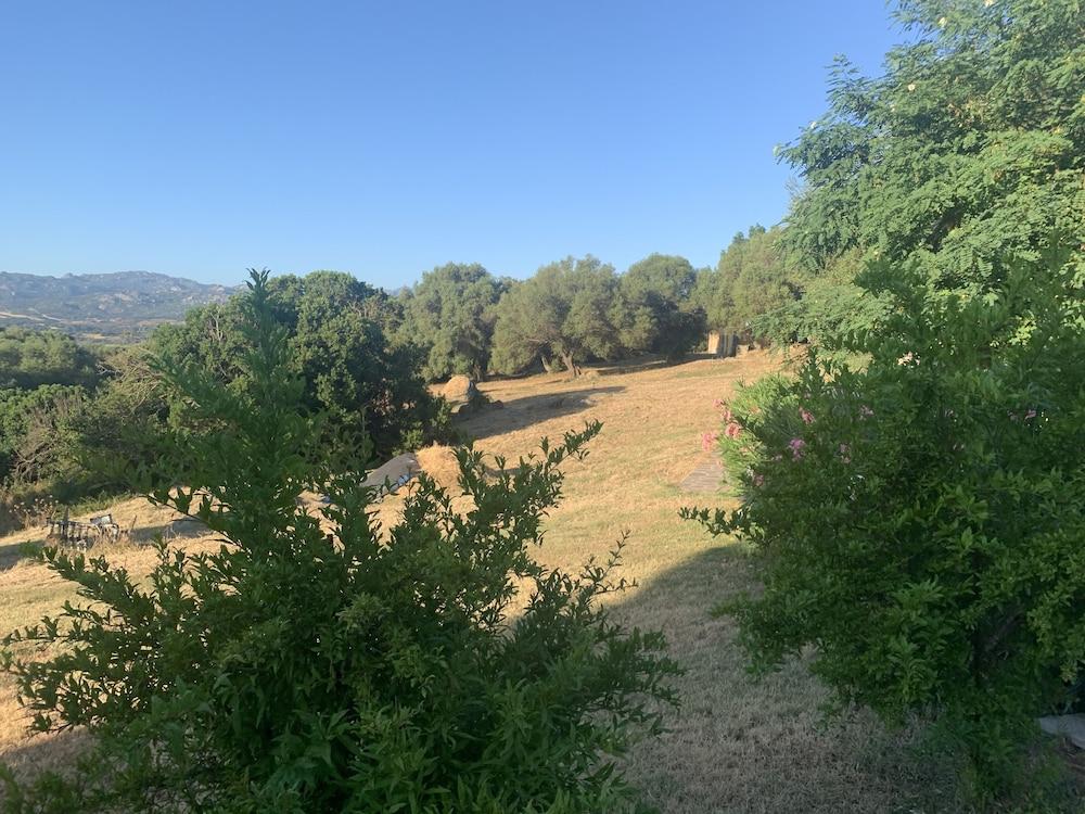Liscia Country Relais Guest House Sant'Antonio di Gallura Eksteriør bilde