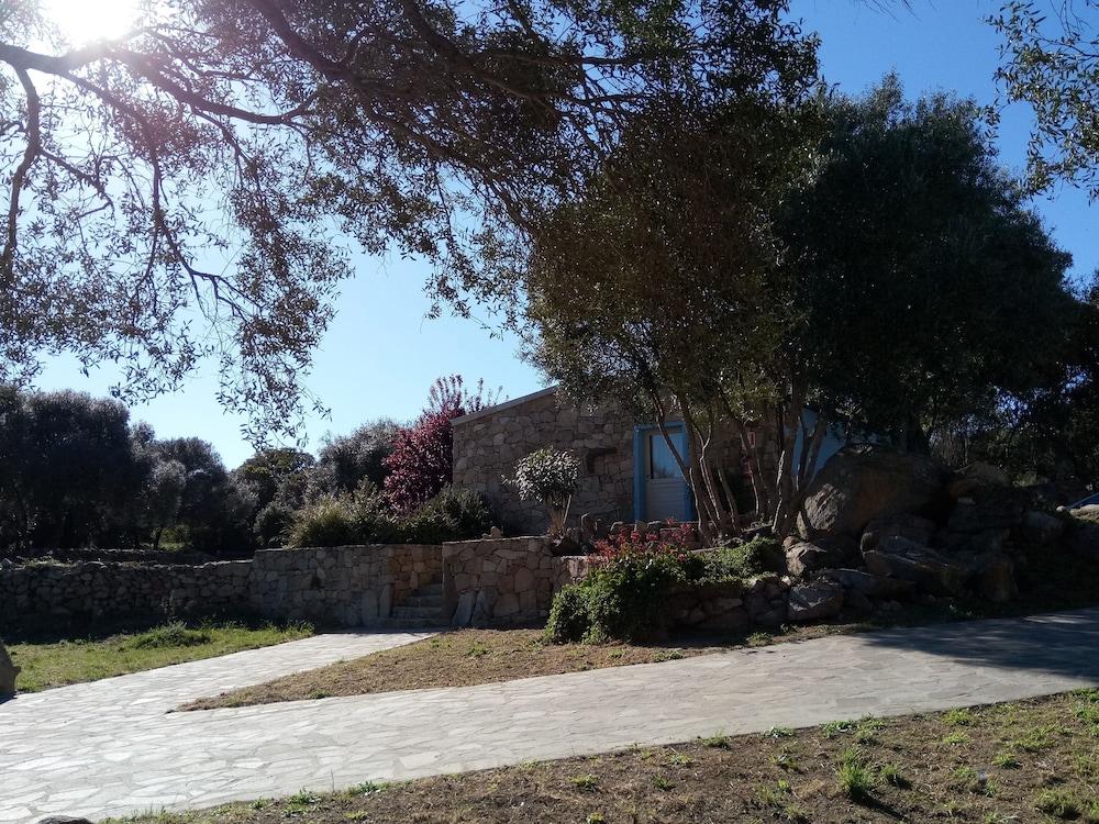 Liscia Country Relais Guest House Sant'Antonio di Gallura Eksteriør bilde