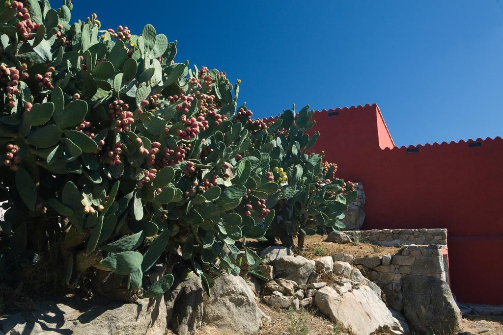 Liscia Country Relais Guest House Sant'Antonio di Gallura Eksteriør bilde