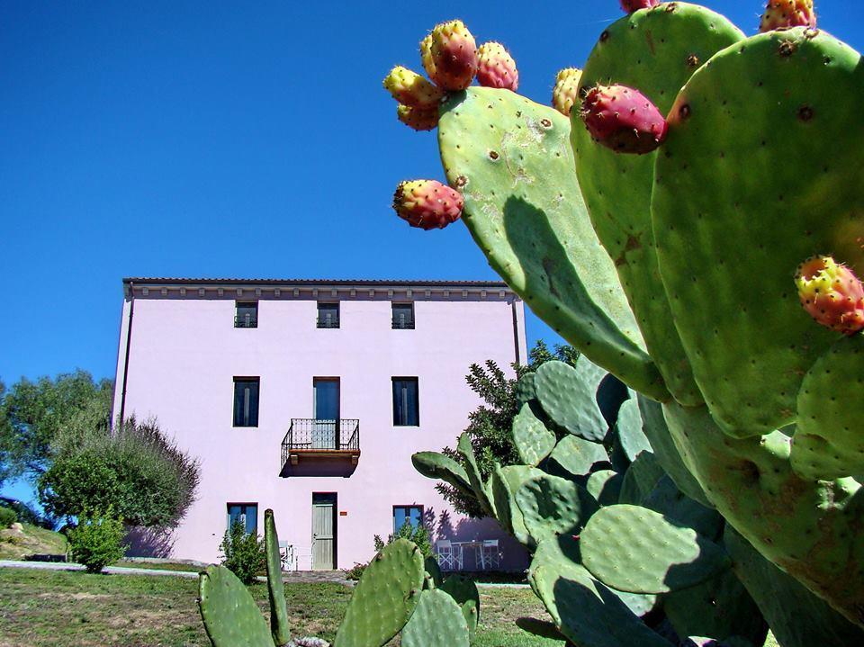 Liscia Country Relais Guest House Sant'Antonio di Gallura Eksteriør bilde