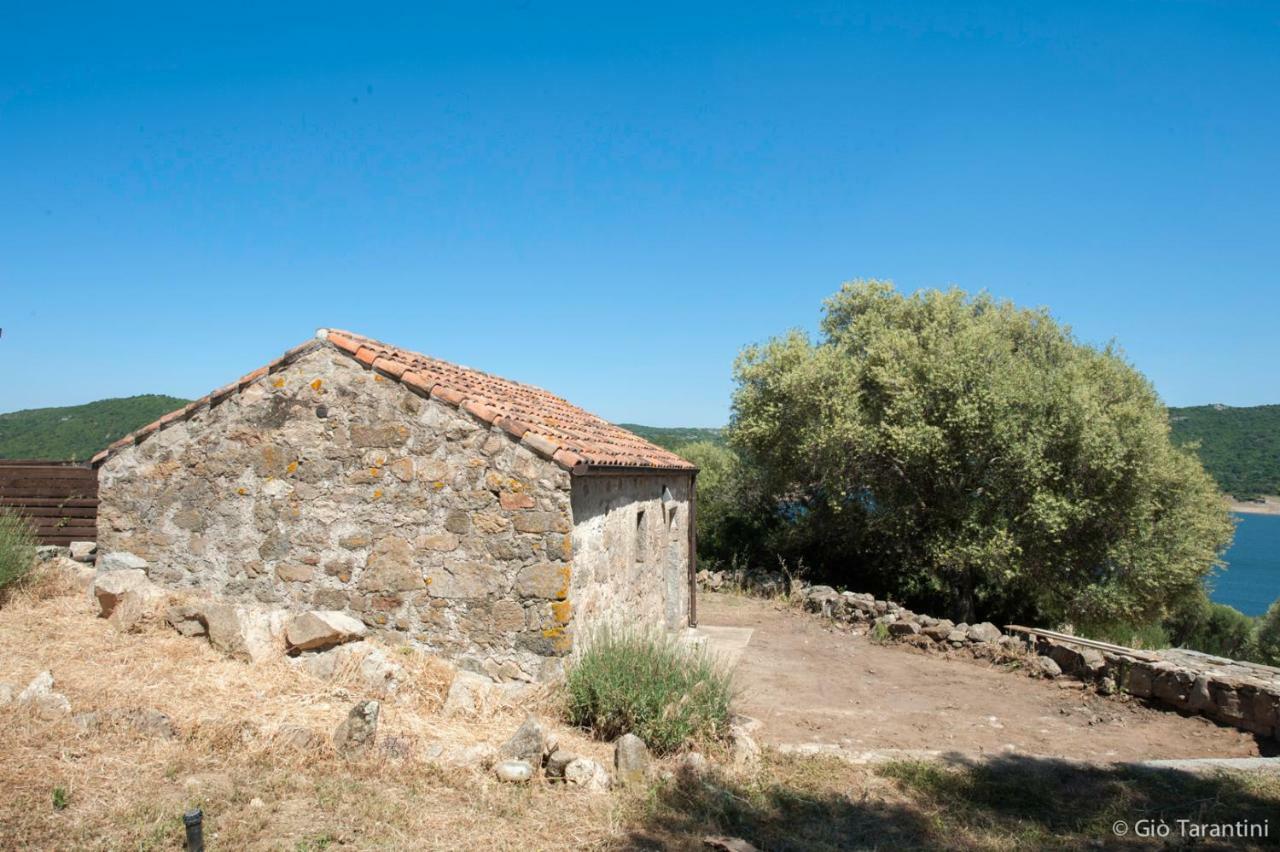 Liscia Country Relais Guest House Sant'Antonio di Gallura Eksteriør bilde